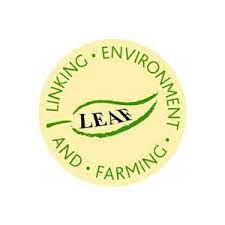 LEAF logo